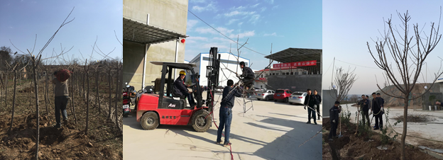 寶雞捷銳“迎春風(fēng)，綠家園”植樹節(jié)(圖2)