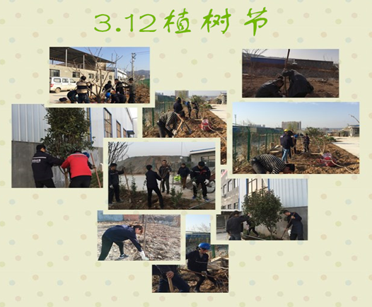 寶雞捷銳“迎春風(fēng)，綠家園”植樹節(jié)(圖3)